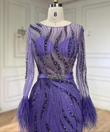 Sleeve feathers see though beaded dress