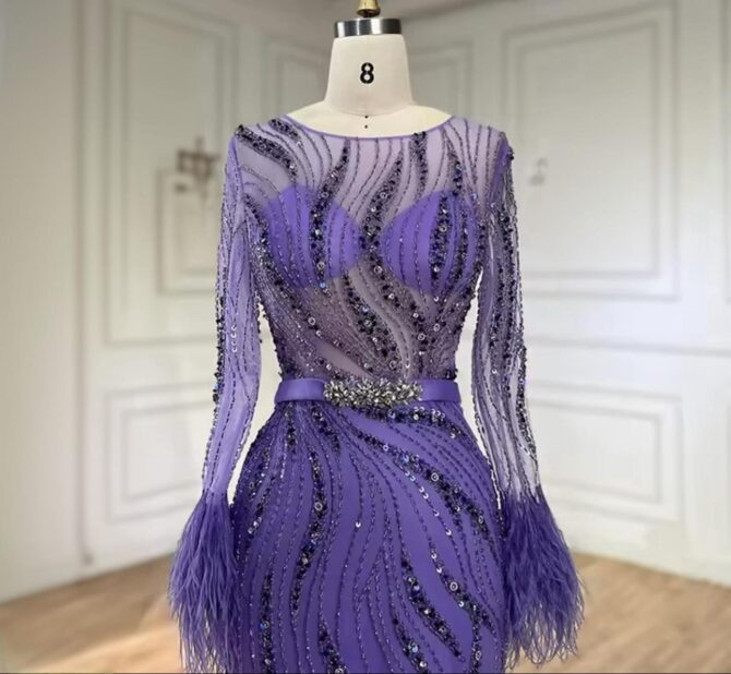Sleeve feathers see though beaded dress